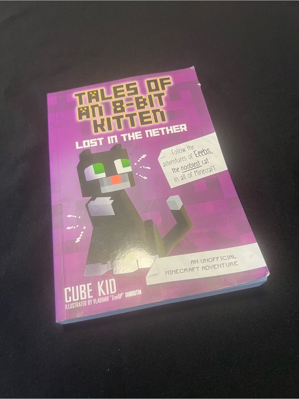 Tales of an 8-Bit Kitten: Lost in the Nether (Book 1) Paperback